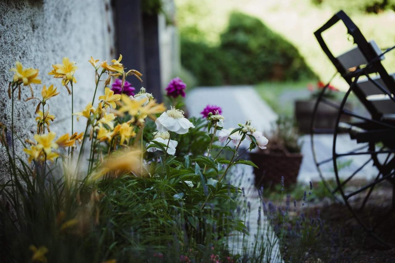 Lawendowa Stajnia Bed & Breakfast Lwowek Slaski Bagian luar foto